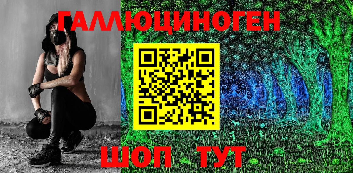 Псилоцибиновые грибы GOLDEN TEACHER Новочебоксарск