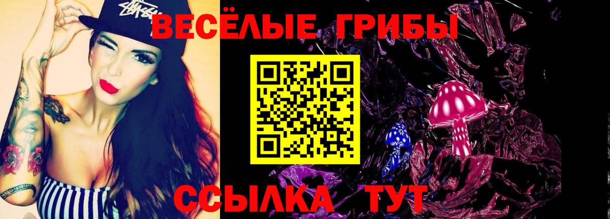 Галлюциногенные грибы Cubensis  Вход с VPN  Новочебоксарск 
